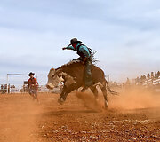 Rodeo Vait Klifse, Pietų Australija