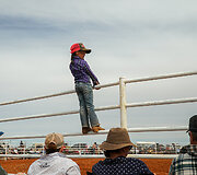 Rodeo Vait Klifse, Pietų Australija