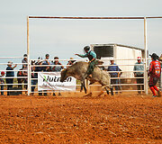 Rodeo Vait Klifse, Pietų Australija