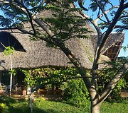 Namai Rytų Afrikoje dengiami palmių lapais ar &scaron;akelėmis