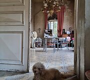 &bdquo;Baron Hotel&ldquo; yra seniausias Sirijos vie&scaron;butis