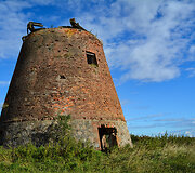 Paliepių Grūžių dvaro vėjo malūnas (Pasvalio r.)