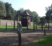 Au&scaron;vicas