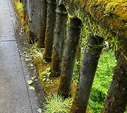 Kelionė po Oregono valstiją, JAV