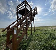 Pauk&scaron;čių takai