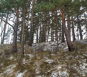 Čia buvo karių žeminės