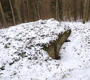Pasislėpę lyg grybai