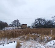 Bunkeris stūkso tarp kalvų ir nendrių