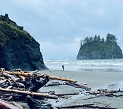 La Push paplūdimiai