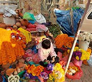 Nepalas