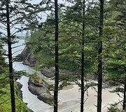 &bdquo;Deadman&rsquo;s Cove&ldquo; (liet. Numirėlio užutėkis), JAV