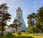 Kepu &scaron;vyturys, Estija