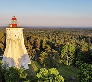 Kepu &scaron;vyturys, Estija
