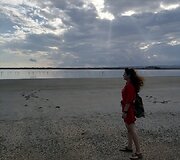 Prie flamingų, Kipras