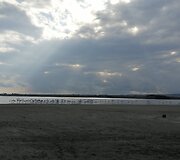 Flamingai Druskos ežere, Kipras