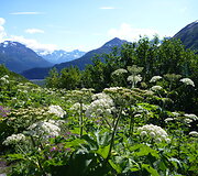 Kenajaus Fjordų nacionalinis parkas