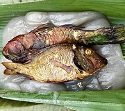 Dano Pankevičiaus kelionė po Papua Naująją Gvinėją 