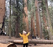 &Scaron;eimos kelionė aplink pasaulį