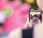 Menininkė Jolita Vaitkutė sukūrė unikalią instaliaciją &scaron;altibar&scaron;čių festivaliui