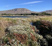 Kelionė po Patagoniją Argentinoje