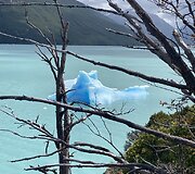 Kelionė po Patagoniją Argentinoje