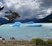 Kelionė po Patagoniją Argentinoje