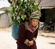 Vietnamas