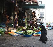Vietnamas