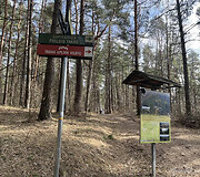 Studentų kilpa