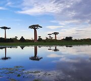 Madagaskaras