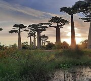 Madagaskaras