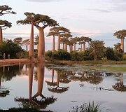 Madagaskaras