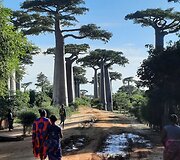 Madagaskaras