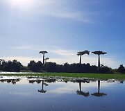 Madagaskaras