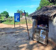 Madagaskaras