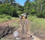 Madagaskaras
