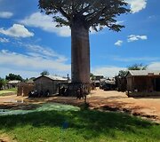 Madagaskaras