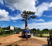 Madagaskaras