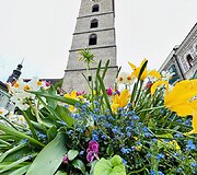 Česke Budekovicai &ndash; Pietų Bohemijos sostinė