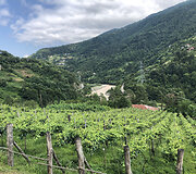 Sakartvelas