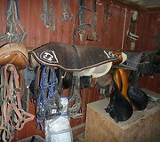Padargai žirgams