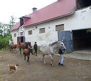 Po jodinėjimo