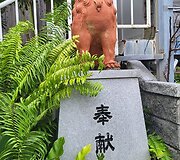 Kelionė po Japoniją