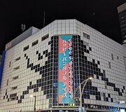Žygimanto įspūdžiai i&scaron; Japonijos