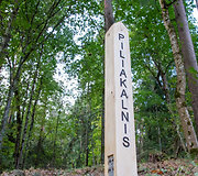 Panerių pažintinis takas
