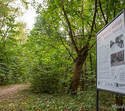 Panerių pažintinis takas