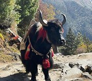 Įspūdžiai i&scaron; Nepalo