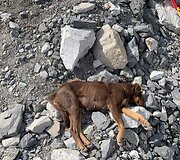 Įspūdžiai i&scaron; Nepalo