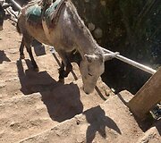Įspūdžiai i&scaron; Nepalo