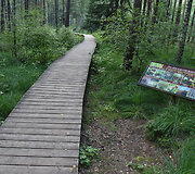HBH &bdquo;Pelkių takas&ldquo; 
